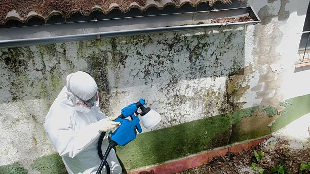 Top rated local Crawl Space Mold Removal specialists in Lykens, PA